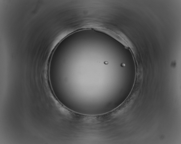 X0000090410909200707131144