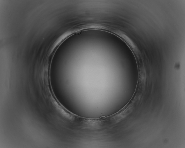 X0000090410910200707131144