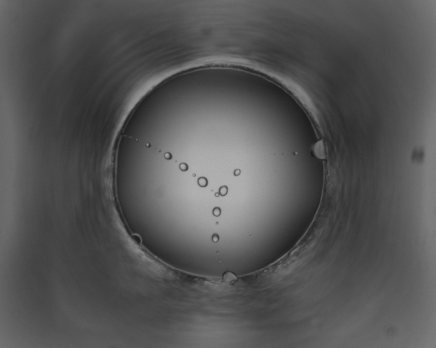 X0000090410911200707131144