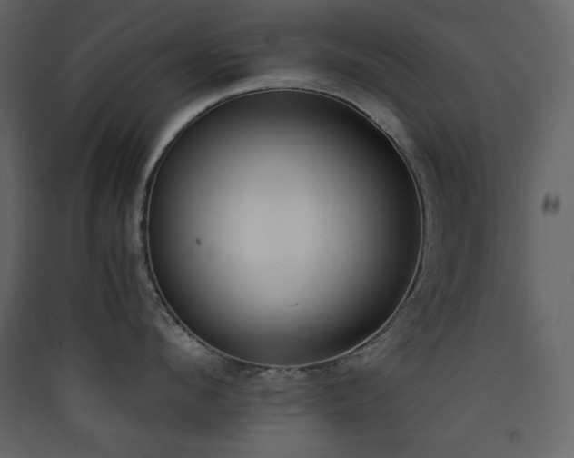 X0000090410912200707131144