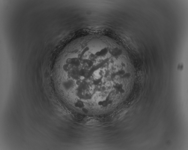 X0000090410913200707131144