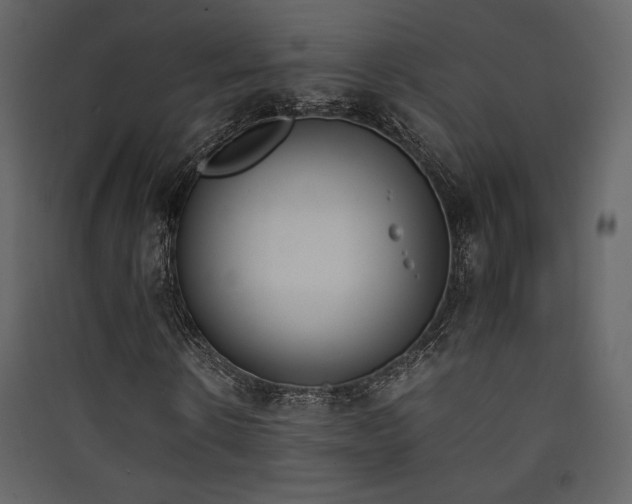 X0000090410914200707131144