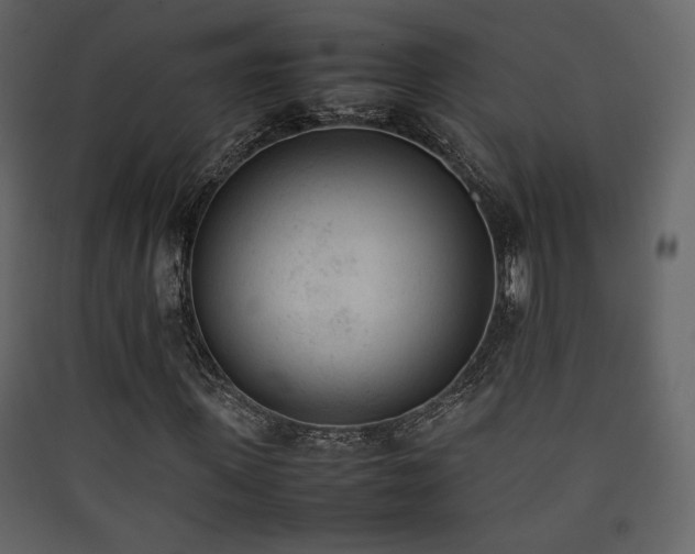 X0000090410915200707131144