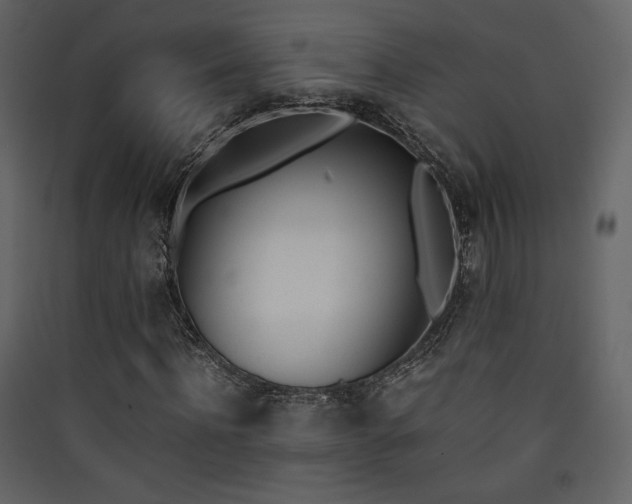 X0000090410916200707131144