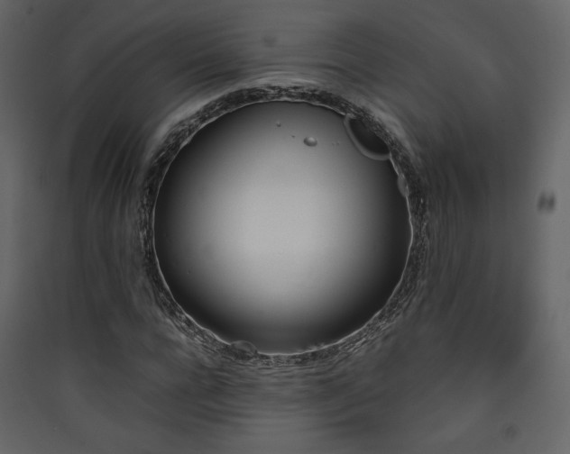 X0000090410920200707131144