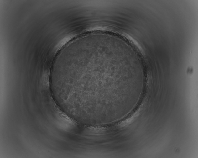 X0000090410921200707131144