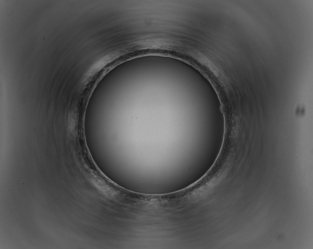 X0000090410922200707131144