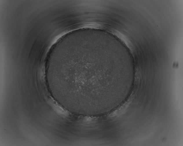 X0000090410923200707131144