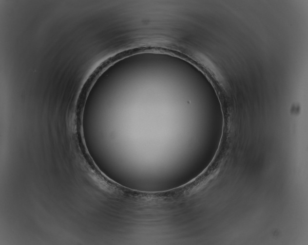 X0000090410924200707131144