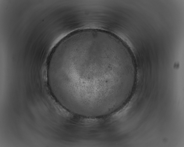 X0000090410925200707131144