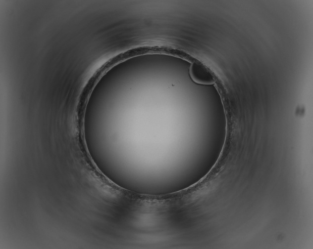 X0000090410927200707131144