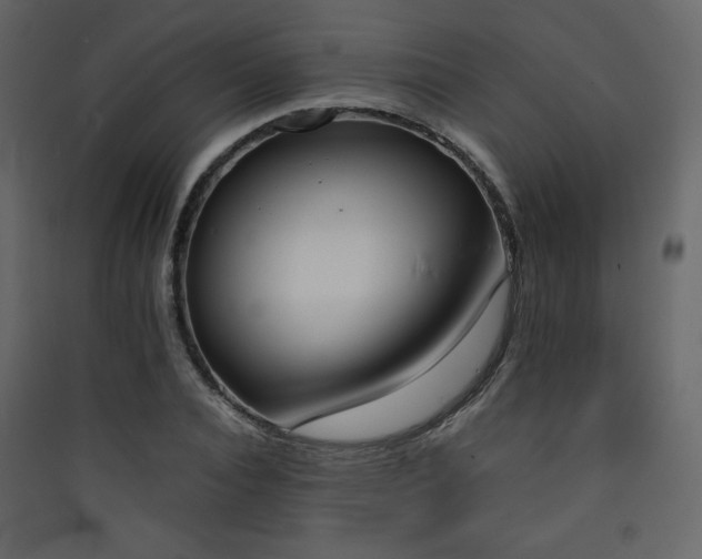 X0000090410928200707131144