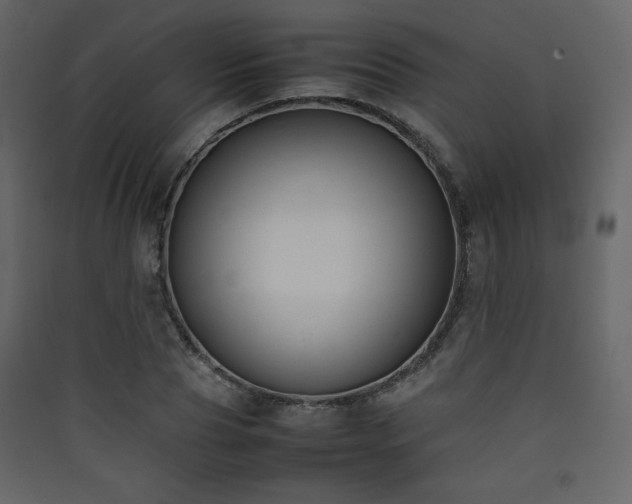 X0000090410929200707131144