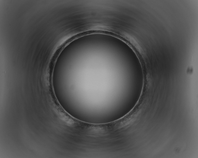 X0000090410931200707131144