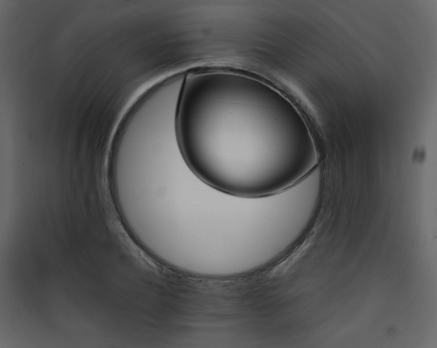 X0000090410932200707131144