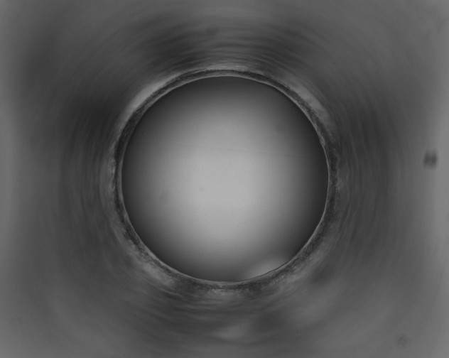 X0000090410933200707131144