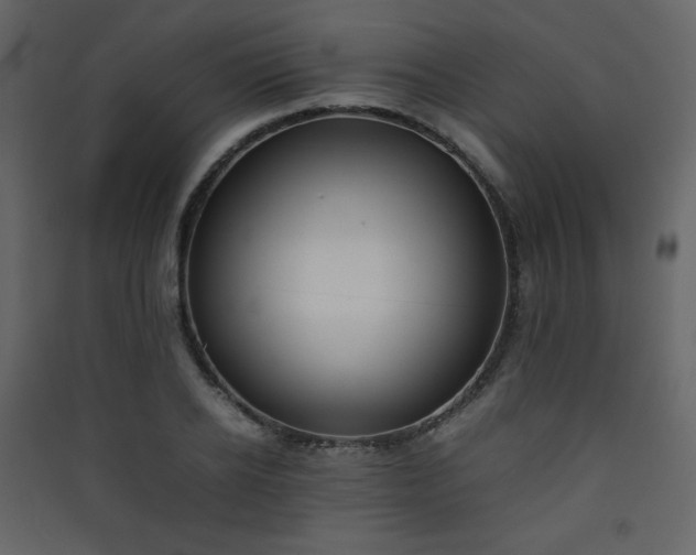X0000090410934200707131144