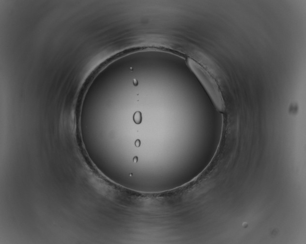 X0000090410936200707131144