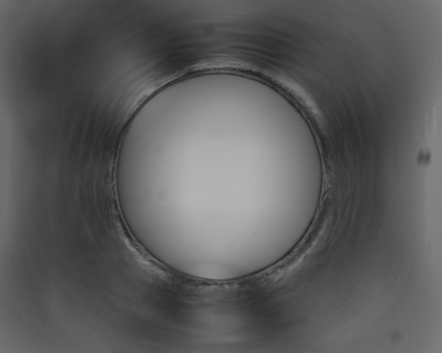 X0000090410937200707131144