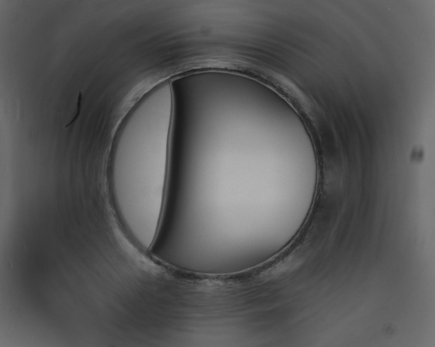 X0000090410938200707131144