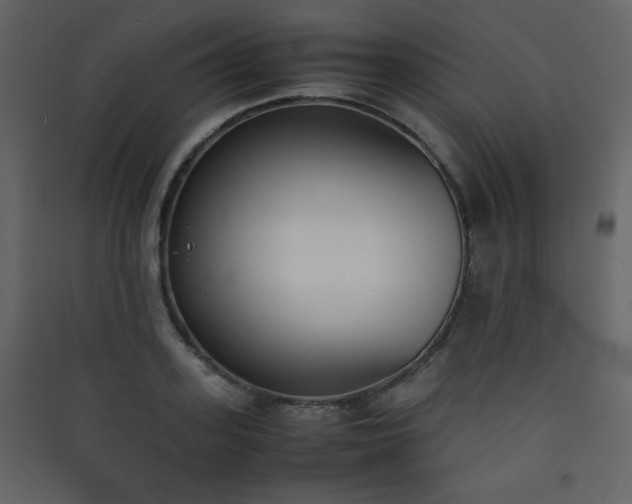 X0000090410939200707131144