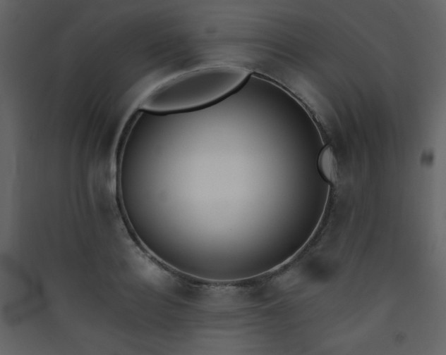 X0000090410940200707131144