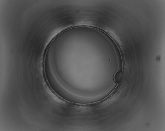 X0000090410941200707131144