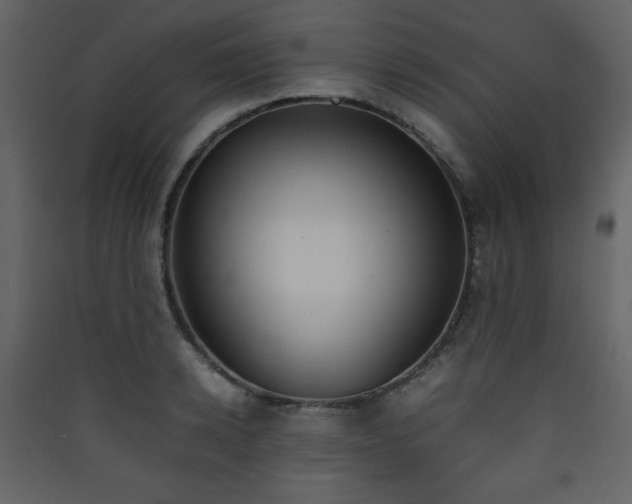 X0000090410942200707131144