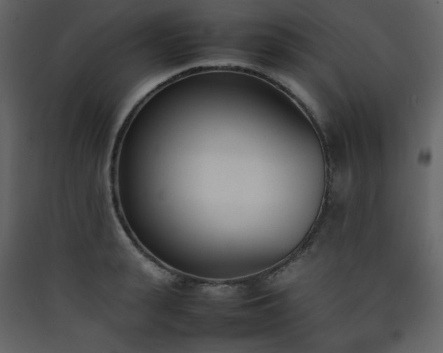 X0000090410943200707131144