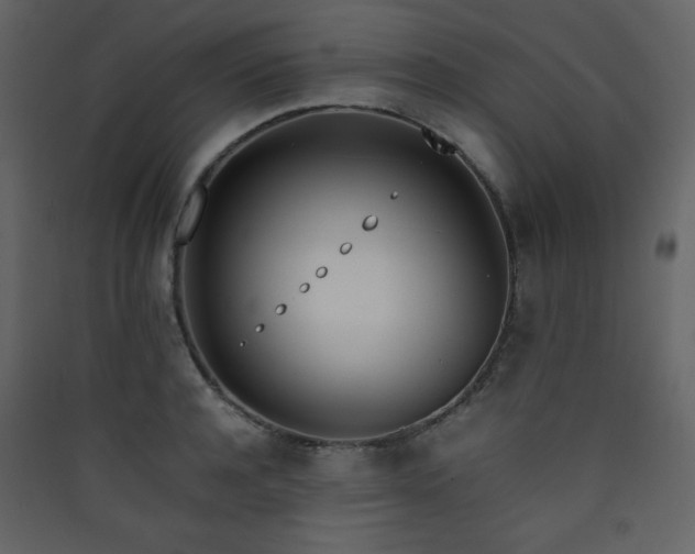 X0000090410944200707131144