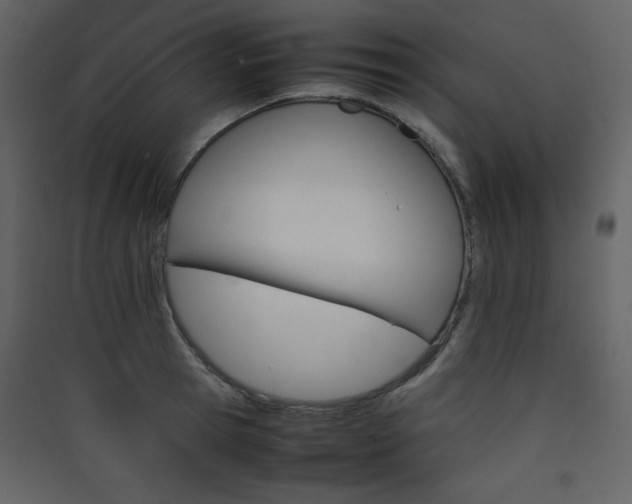 X0000090410945200707131144