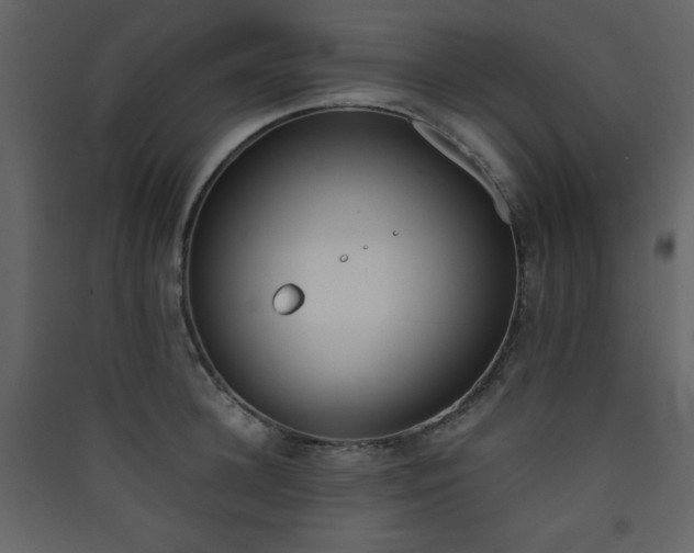 X0000090410948200707131144