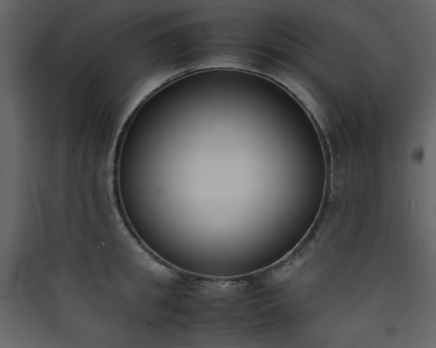 X0000090410949200707131144
