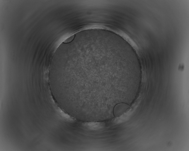 X0000090410953200707131144