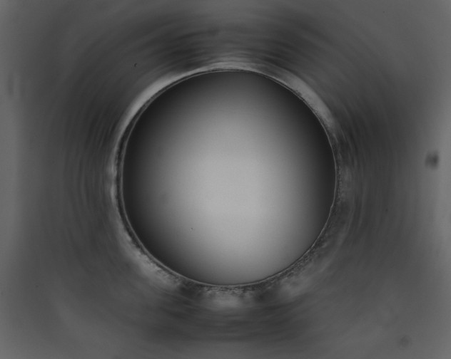 X0000090410955200707131144