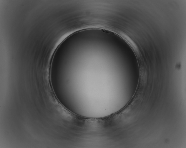 X0000090410956200707131144