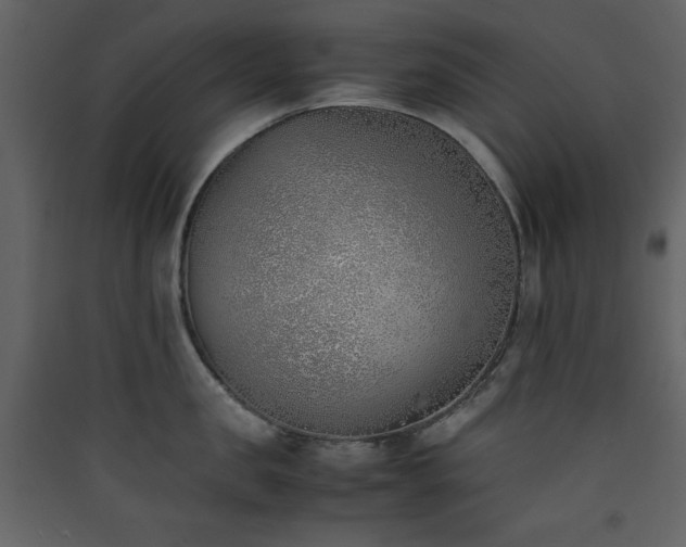 X0000090410957200707131144