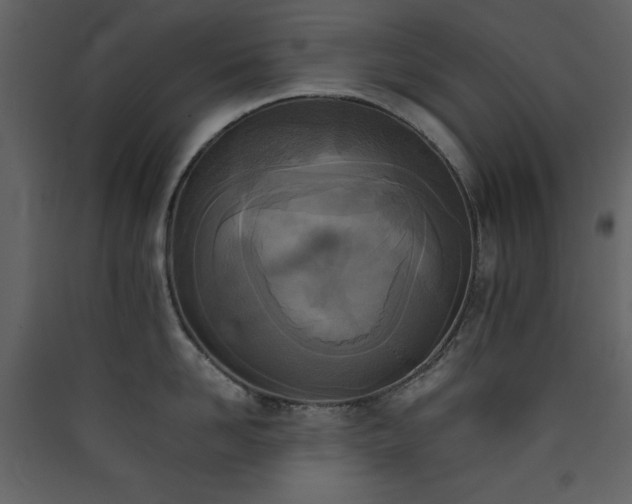 X0000090410958200707131144