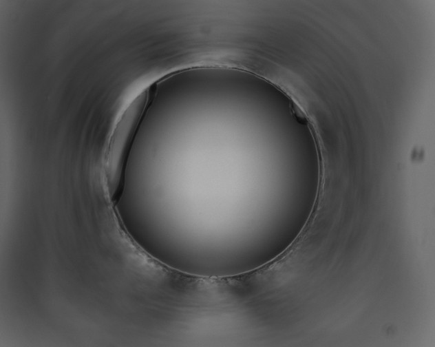 X0000090410960200707131144
