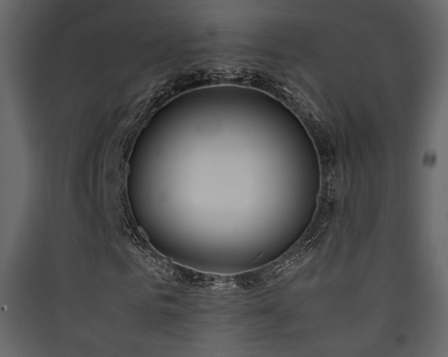 X0000090410961200707131144