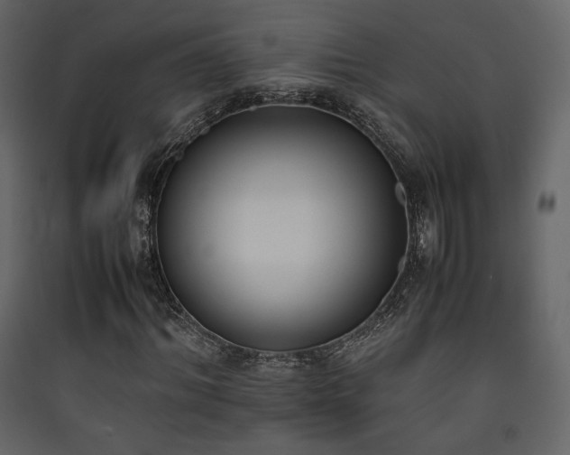 X0000090410964200707131143