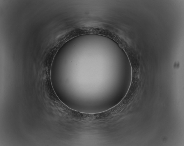 X0000090410965200707131143