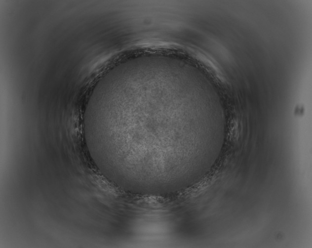 X0000090410966200707131143