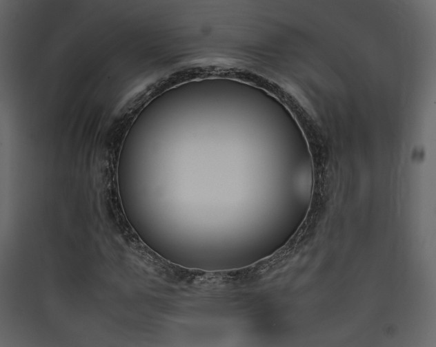 X0000090410967200707131143