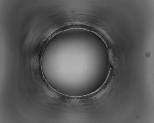 X0000090410969200707131143
