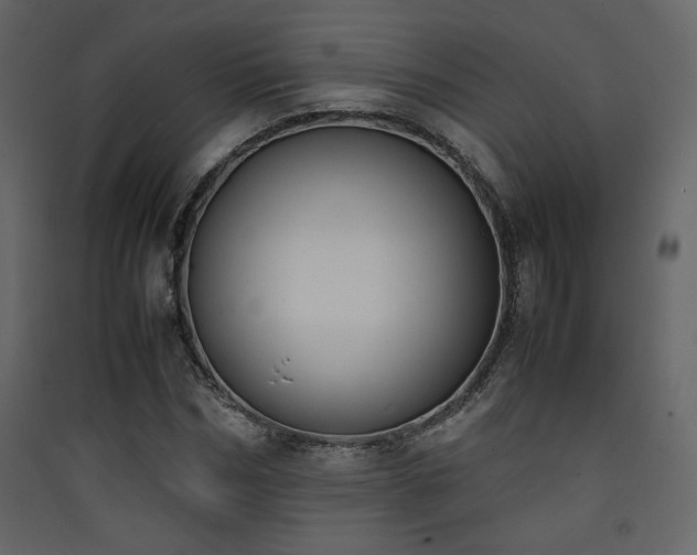 X0000090410970200707131143