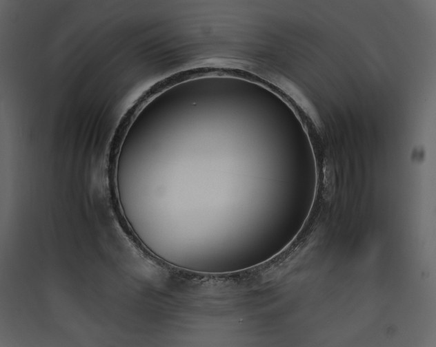 X0000090410972200707131143