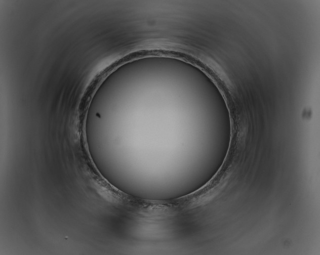 X0000090410974200707131143