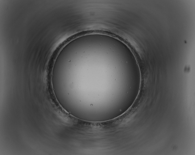 X0000090410975200707131143