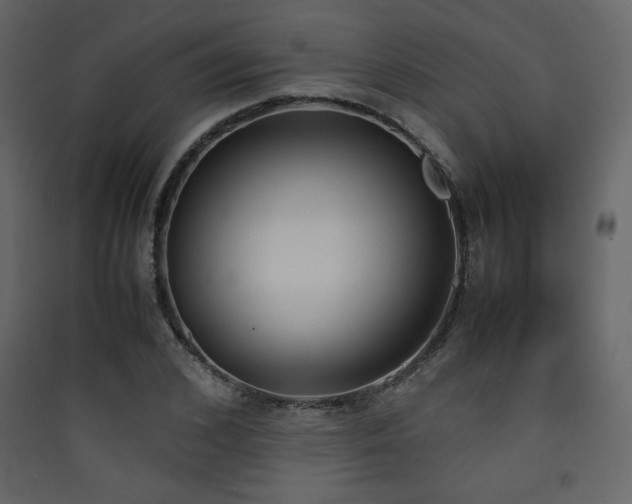 X0000090410976200707131143